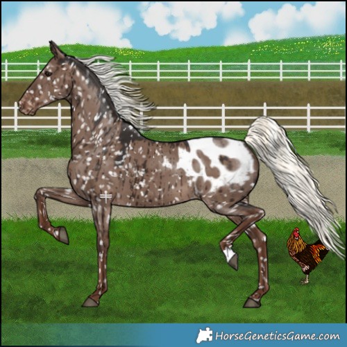 Horse Color:Liver Red Dun Mushroom Blanket Brindle 