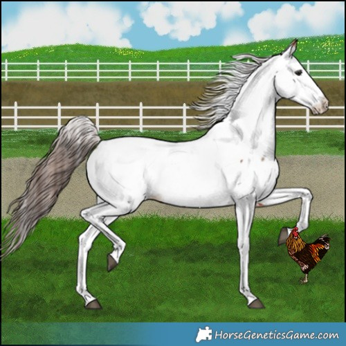Horse Color:Bay Dun Near Fewspot Brindle 