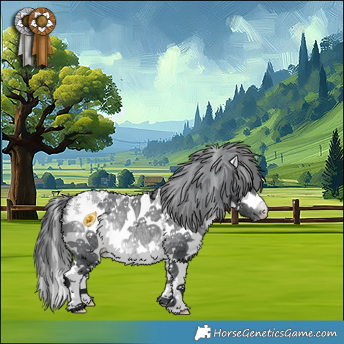 Horse Color:White Spotted Bay Chinchilla Appaloosa Rabicano 
