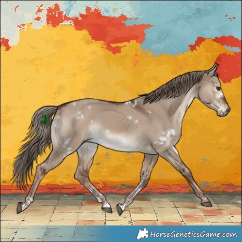 Horse Color:White Spotted Liver Red Dun Rabicano 