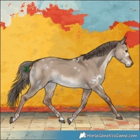Horse Color:White Spotted Liver Red Dun Rabicano