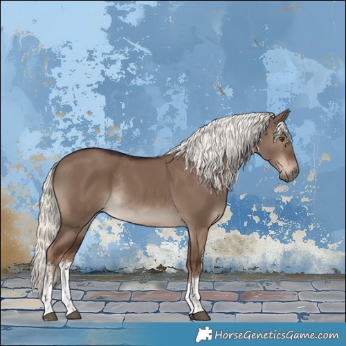 Horse Color:White Spotted Liver Red Dun Mushroom Rabicano 
