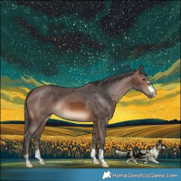 Horse Color:Brown Merle 