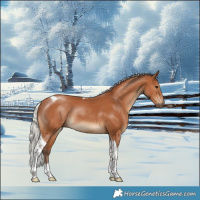 Horse Color:Silver Bay Tobiano Rabicano 