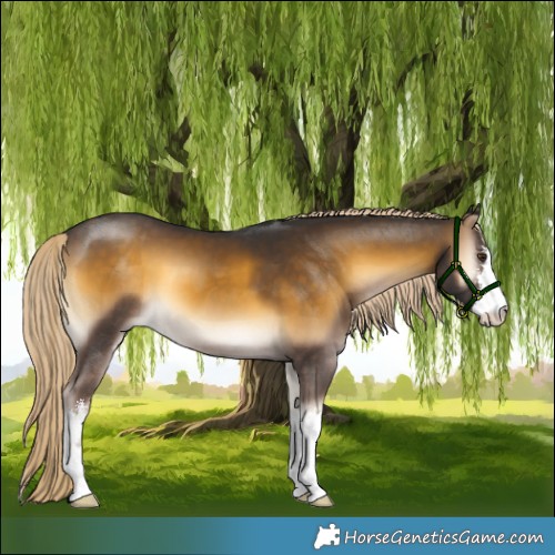 Horse Color:White Spotted Chocolate Palomino Onyx Mushroom 