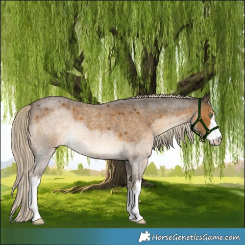Horse Color:White Spotted Chocolate Palomino Roan Mushroom 