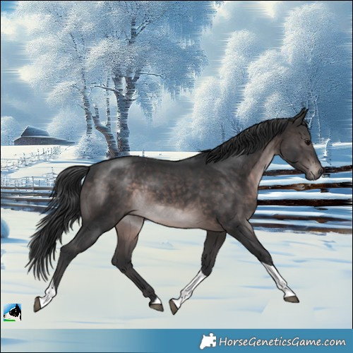Horse Color:Platinum Brown Tobiano