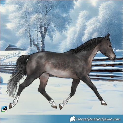 Horse Color:Platinum Brown Tobiano Rabicano