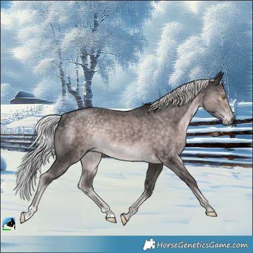 Horse Color:Platinum Chocolate Palomino Mushroom Rabicano