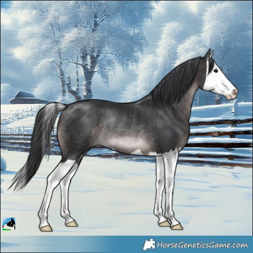 Horse Color:Platinum Brown Splash Rabicano