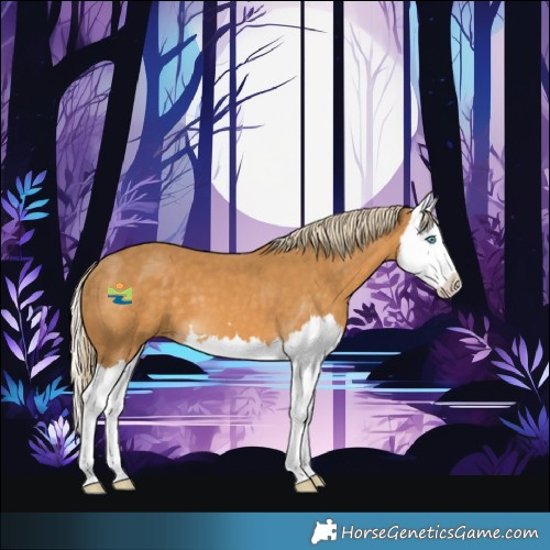 Horse Color:Palomino Splash 