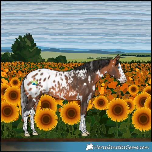 Horse Color:White Spotted Bay Splash Blanket 