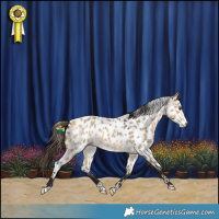 Horse Color:Buckskin Roan Dun Splash Near Leopard
