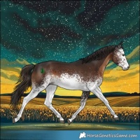 Horse Color:Gray White Spotted Liver Chestnut 