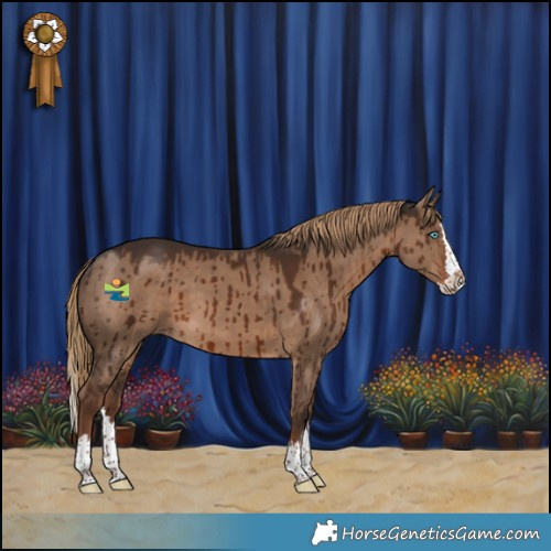 Horse Color:Liver Red Dun Splash Brindle 