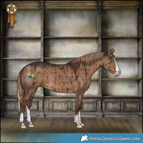 Horse Color:Liver Red Dun Splash Brindle 