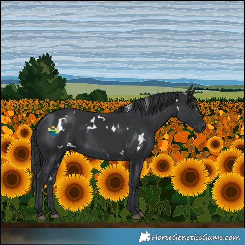 Horse Color:White Spotted Black 