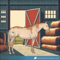 Horse Color:Gray Cremello Dun 