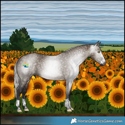 Horse Color:Gray Silver Brown Dun Brindle 