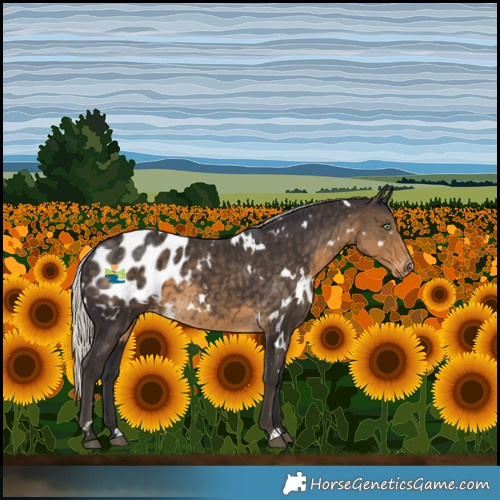 Horse Color:White Spotted Silver Smoky Black Blanket 