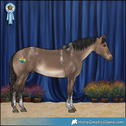 Horse Color:Powder White Brown Dun Tobiano 