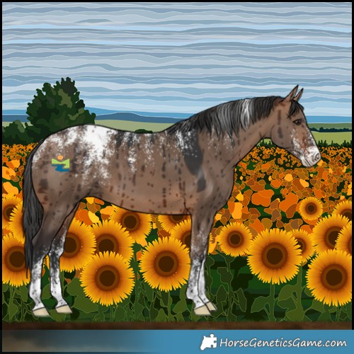 Horse Color:Powder White Brown Dun Brindle 