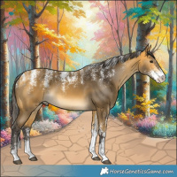 Horse Color:Powder White Buckskin 