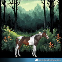 Horse Color:Bay Tobiano