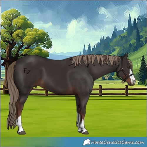 Horse Color:Liver Chestnut