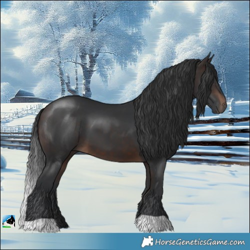 Horse Color:Brown 
