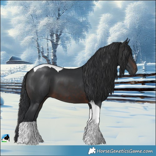 Horse Color:Brown Tobiano