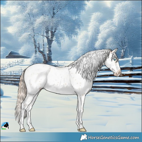Horse Color:Perlino Sabino Frame