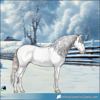 Horse Color:Perlino Sabino Frame 