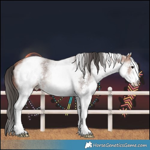 Horse Color:White Spotted Bay Sabino 