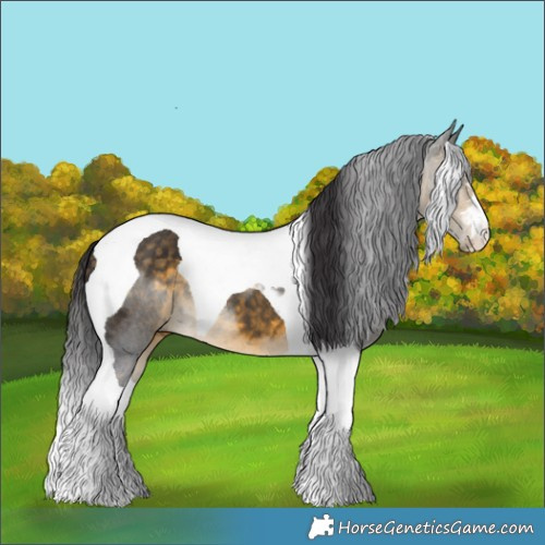 Horse Color:Buckskin Tobiano 