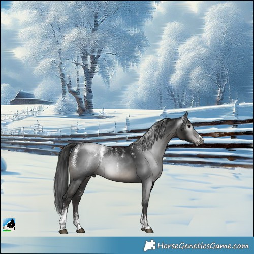 Horse Color:Powder White Gray Black 