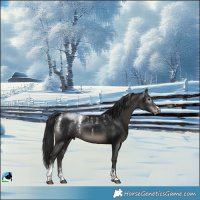 Horse Color:Powder White Gray Black 