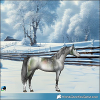 Horse Color:Powder White Gray Black 