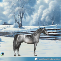 Horse Color:Powder White Gray Black