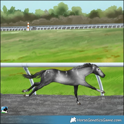 Horse Color:Powder White Gray Black 