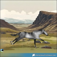 Horse Color:Powder White Gray Black