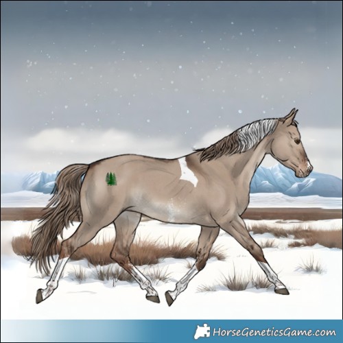 Horse Color:Liver Red Dun Sabino Tobiano 