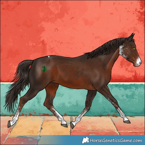 Horse Color:White Spotted Liver Chestnut Tobiano 