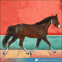 Horse Color:White Spotted Liver Chestnut Tobiano