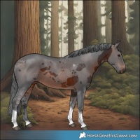 Horse Color:White Spotted Brown Merle Tobiano 
