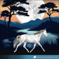 Horse Color:White Spotted Chocolate Palomino Dun Splash Tobiano Rabicano