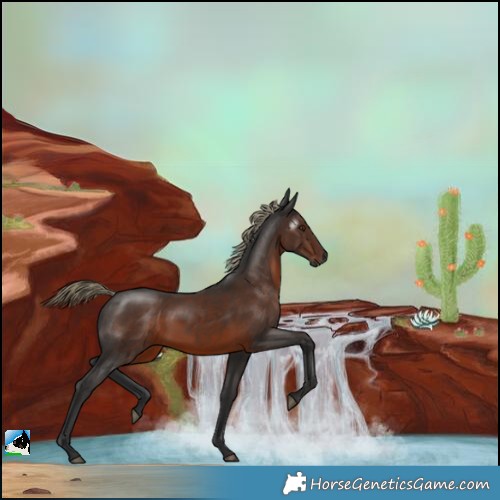 Horse Color:Gray White Spotted Liver Chestnut Mushroom Rabicano 