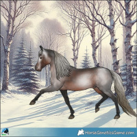 Horse Color:Gray White Spotted Liver Chestnut Mushroom Rabicano
