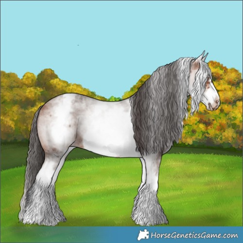 Horse Color:White Spotted Bay Roan Frame 