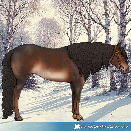 Horse Color:Liver Chestnut 